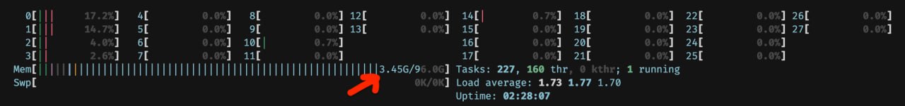 A clean post-boot host baseline showing 3.45 GiB used out of 96.0 GiB before loading the model.